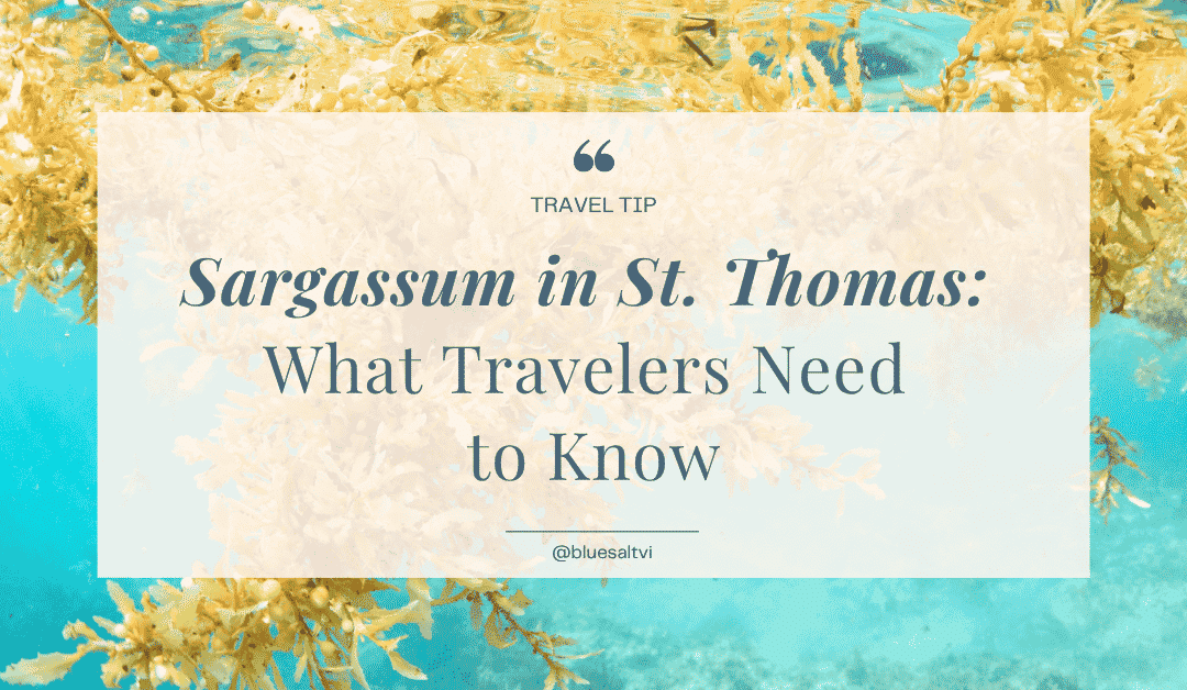 Sargassum in St. Thomas: What It Is, Which Beaches Get Hit, and Why It Shouldn’t Stop You From Coming