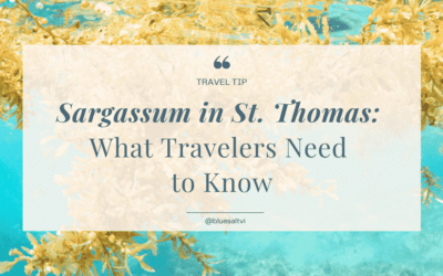 Sargassum in St. Thomas: What It Is, Which Beaches Get Hit, and Why It Shouldn’t Stop You From Coming