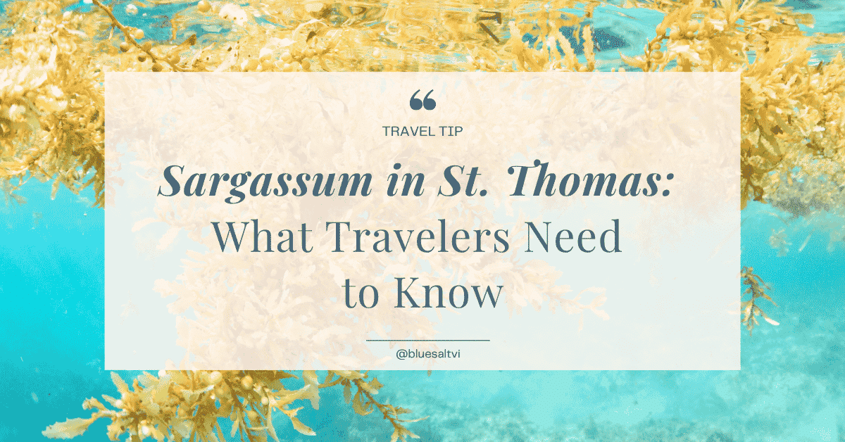 Sargassum in St. Thomas: which beaches get hit hardest, which stay clear, and why it shouldn't stop you from booking your trip.